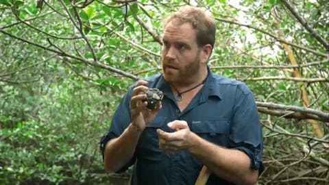 Expedition Unknown - Episode 11