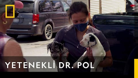 Yetenekli Dr.Pol - Episode 12