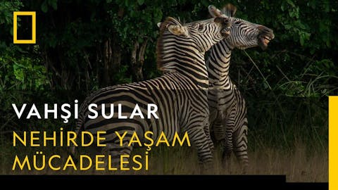 Vahşi Sular - Episode 3