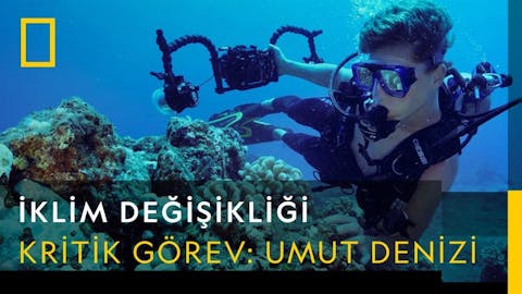 İklim Değişikliği - Episode 9