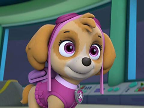 PAW Patrol - Episode 4