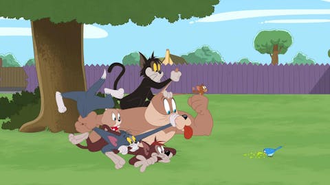 The Tom and Jerry Show - Episode 2