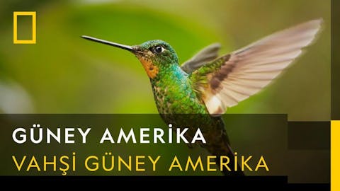 Güney Amerika - Episode 1