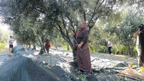 İstikamet Ege - Episode 16