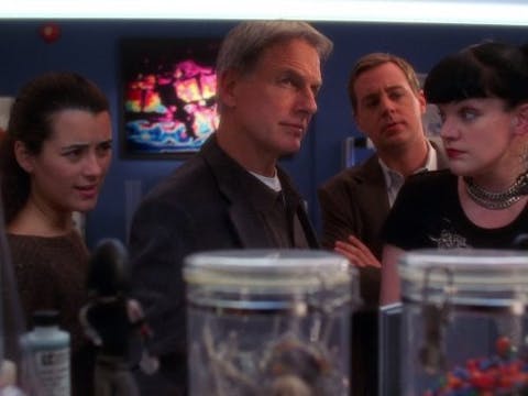 NCIS - Episode 15
