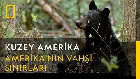 Vahşi Amerika - Episode 16
