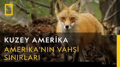 Vahşi Amerika - Episode 15