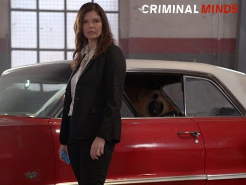 Criminal Minds - Episode 22