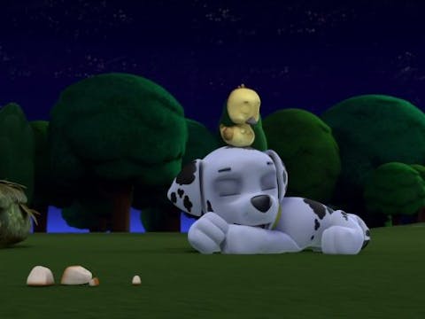 PAW Patrol - Episode 5