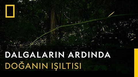 Dalgaların Ardında - Episode 4