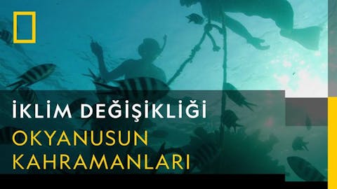İklim Değişikliği - Episode 1