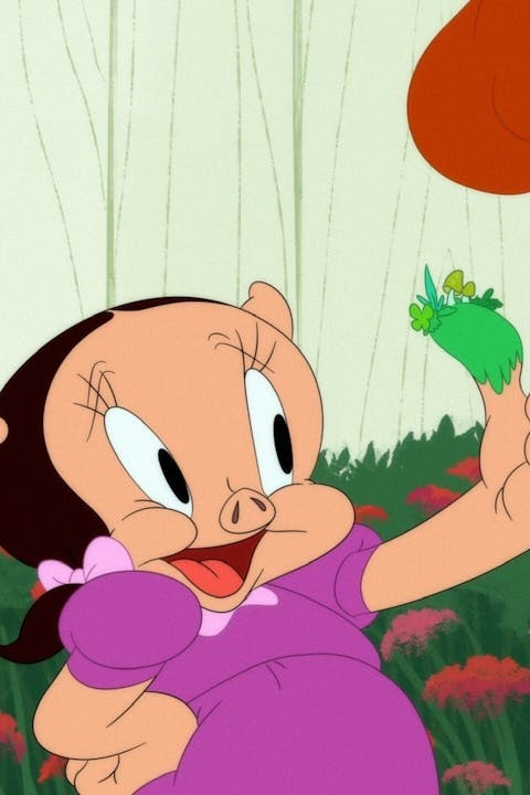 Looney Tunes Cartoons - Episode 6