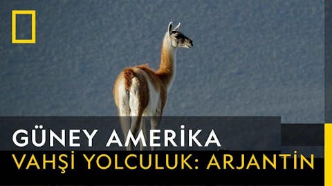 Vahşi Amerika - Episode 5