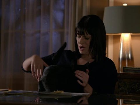 Criminal Minds - Episode 14