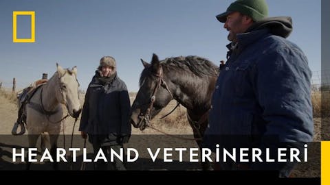Heartland Veterinerleri - Episode 8