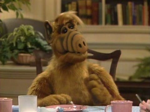 ALF - Episode 19