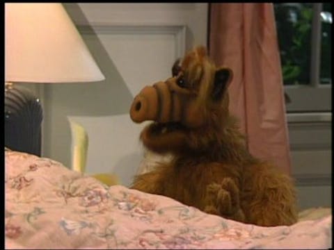 ALF - Episode 6
