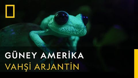 Güney Amerika - Episode 5