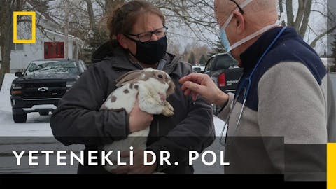 Yetenekli Dr.Pol - Episode 13