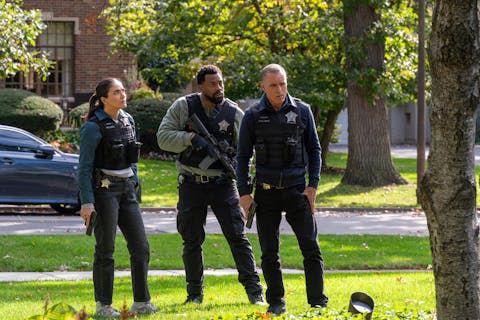 Chicago P.D. - Episode 8