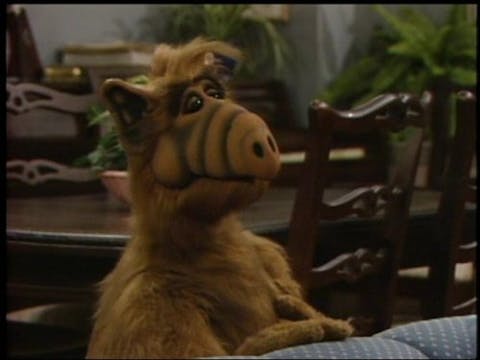 ALF - Episode 8