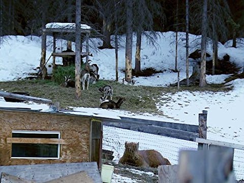 Edge of Alaska - Episode 3