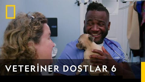 Veteriner Dostlar - Episode 1