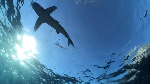 Sudaki İzler - Episode 14