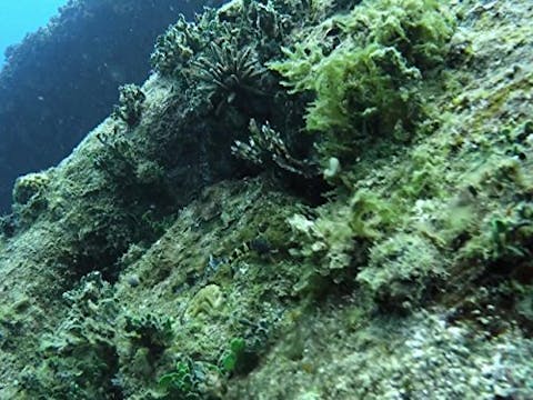 Expedition Unknown - Episode 19