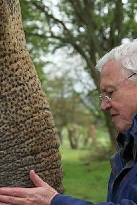 Natural Curiosities - Episode 3