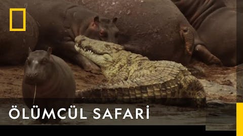 Vahşi Sular - Episode 9