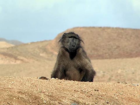 Siyaya: Come Wild with Us - Episode 25