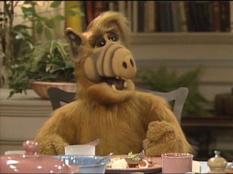 ALF - Episode 16
