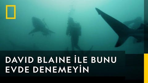 David Blaine İle Bunu Evde Denemeyin - Episode 5