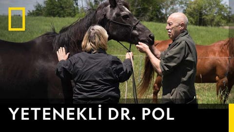Yetenekli Dr.Pol - Episode 19