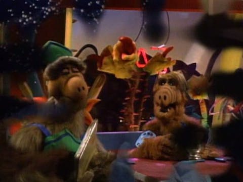 ALF - Episode 8