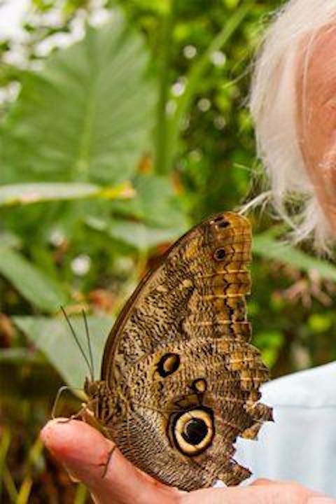 Natural Curiosities - Episode 10