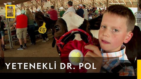 Yetenekli Dr.Pol - Episode 11
