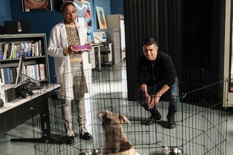 NCIS - Episode 10