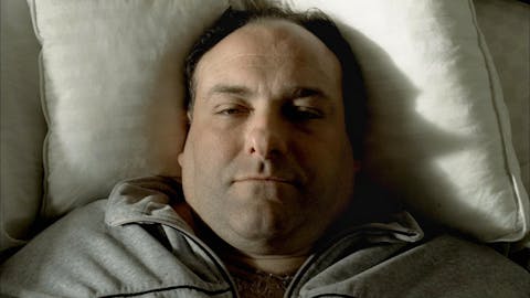The Sopranos - Episode 21