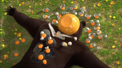 Masha and the Bear - Episode 1