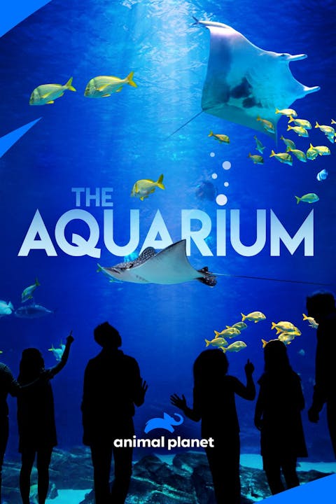 The Aquarium - Episode 1