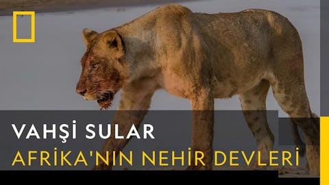Vahşi Sular - Episode 2