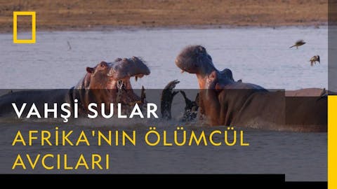 Vahşi Sular - Episode 4