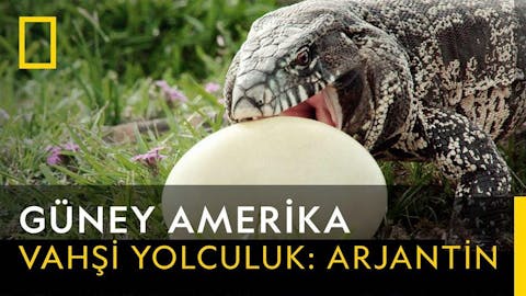 Vahşi Amerika - Episode 9