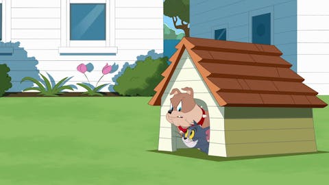 The Tom and Jerry Show - Episode 30