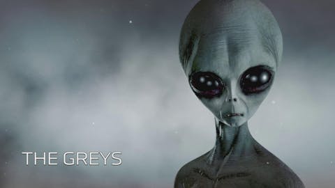 UFO Witness - Episode 8