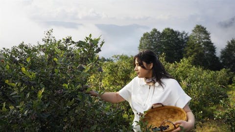 Karadeniz Usulü - Episode 8