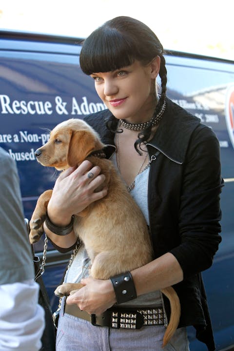 NCIS - Episode 4