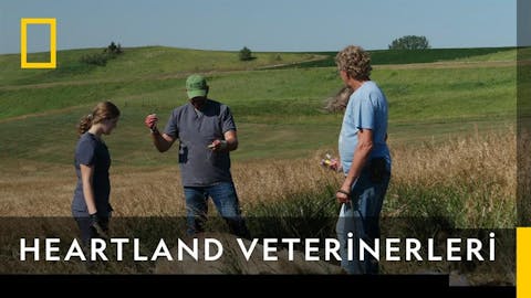 Heartland Veterinerleri - Episode 1
